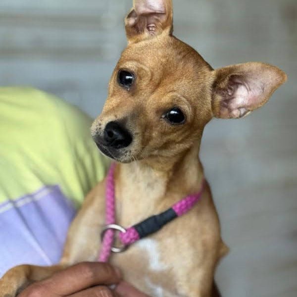 WhatsApp Image 2025-07-14 at 21.37.14_Original