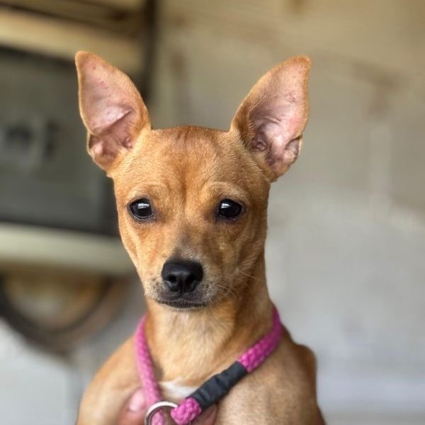 WhatsApp Image 2025-07-14 at 21.37.16 (1)_Original