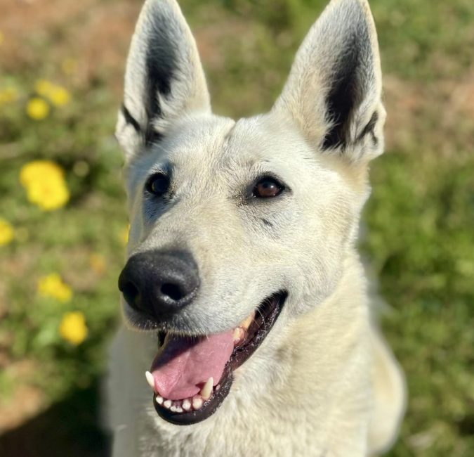 11b74991-8911-4d73-9500-48ba474bce79 (1)