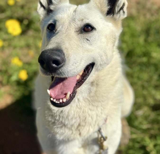 11b74991-8911-4d73-9500-48ba474bce79