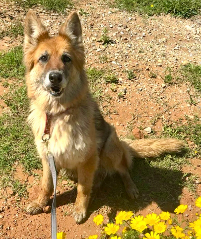 68990bec-1ed0-4008-8dec-17b34f2461fd (1)