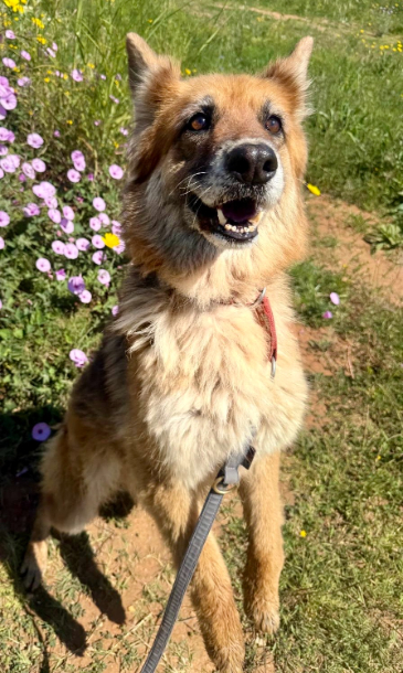 894a706f-4c52-4d09-b242-a1241bd7938a