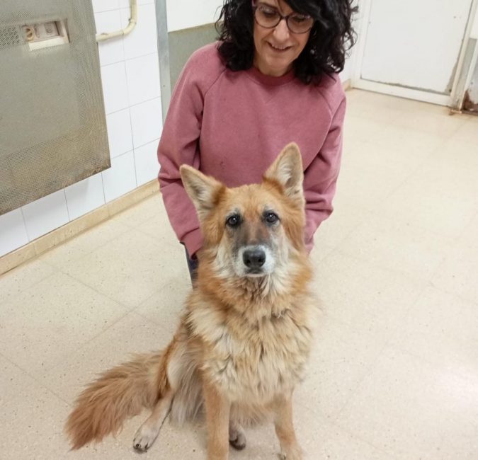 WhatsApp Image 2026-03-18 at 15.56.0