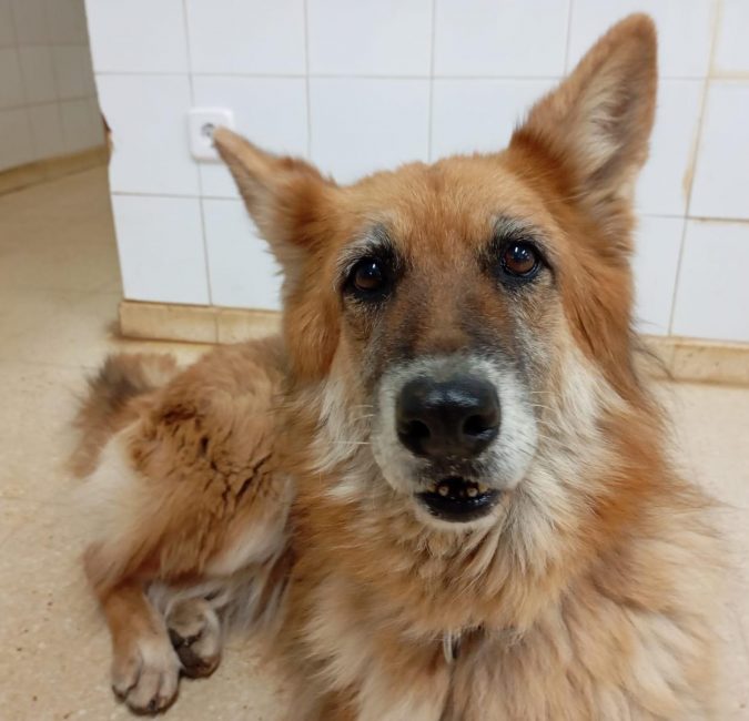 WhatsApp Image 2026-03-18 at 15.56.02