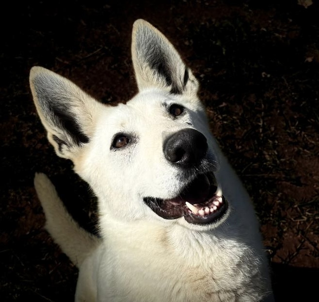 a04773fa-a1cc-44e2-89a3-ce085d65e501