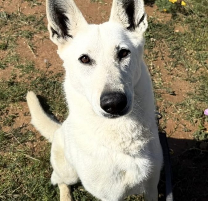 a2891d99-4e2e-4196-8092-010d11ac231c