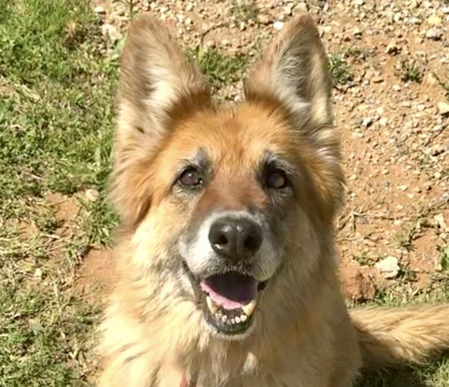 b87f5ad1-b369-4e82-a8a1-d05d3c26f97a