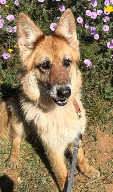 d6299985-094e-48c6-a44f-ea2a633b270f (1)