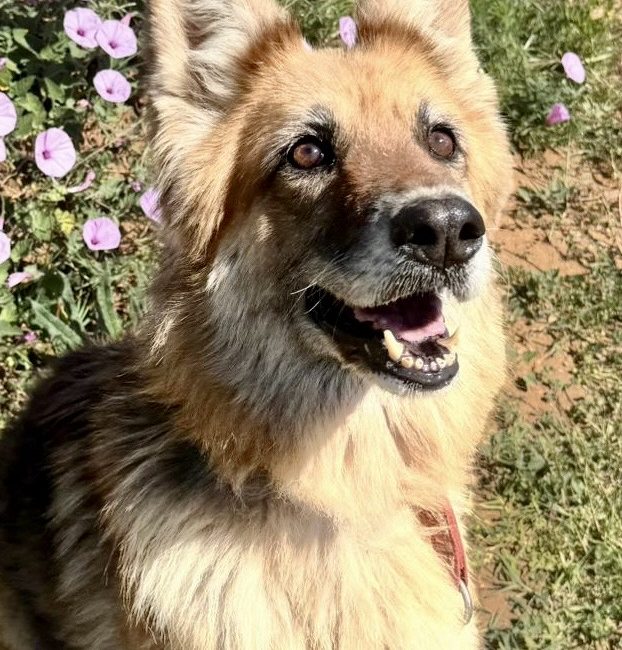 e3411b1c-d31f-4a1d-b100-096508e028aa