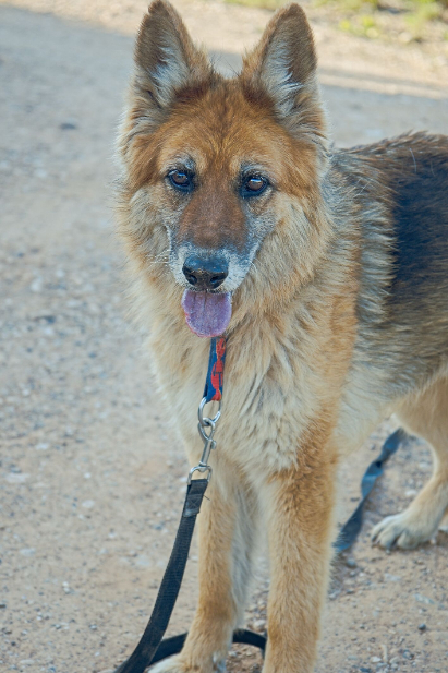 monica-siso_mg_3935-12590-L