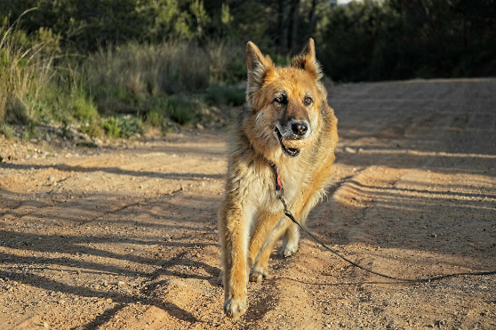 monica-siso_mg_3938-12590-L