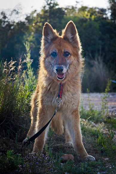 monica-siso_mg_3939-12590-L