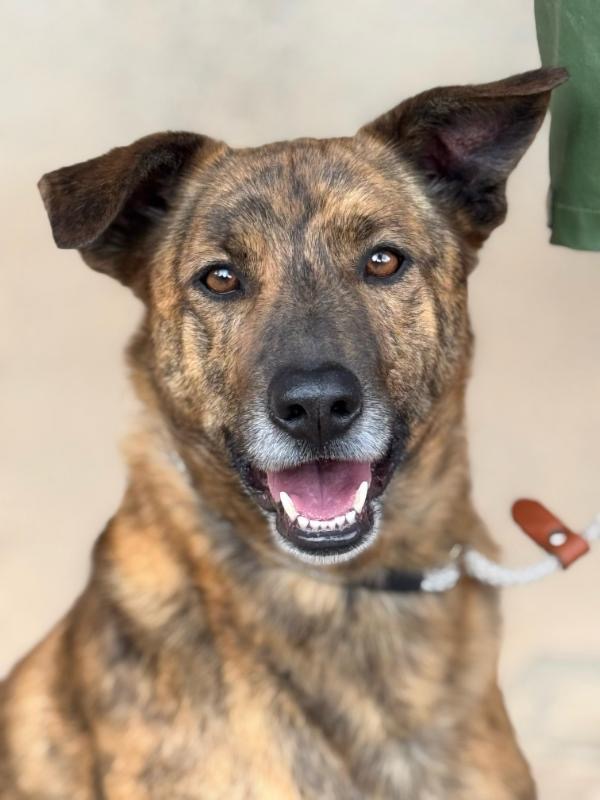 0080f2a0-0bac-40ab-a62b-db7103391d01_Original