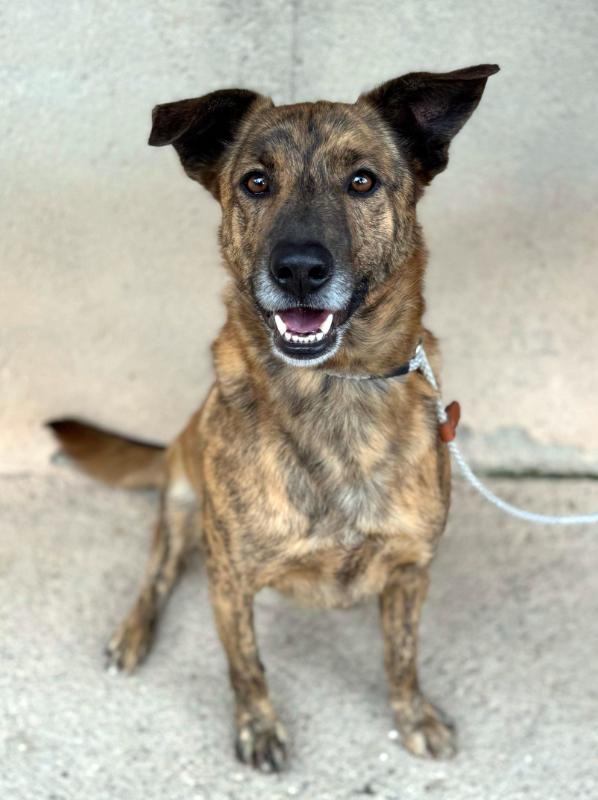 04e50ae1-8a9f-4e2e-974d-c299c19325f5_Original