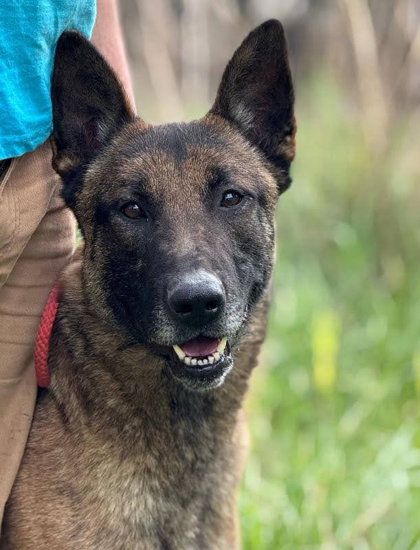 2658397c-a106-4631-a39c-c2cef7f1899f_Original