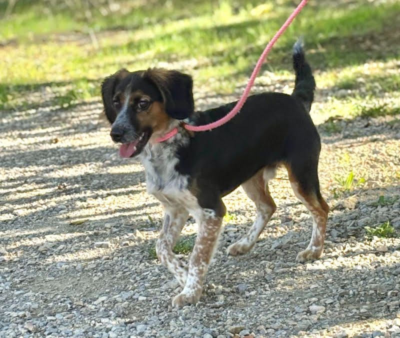 2b6ad9dc-55c2-4e5e-9d56-fad817faf938_Original