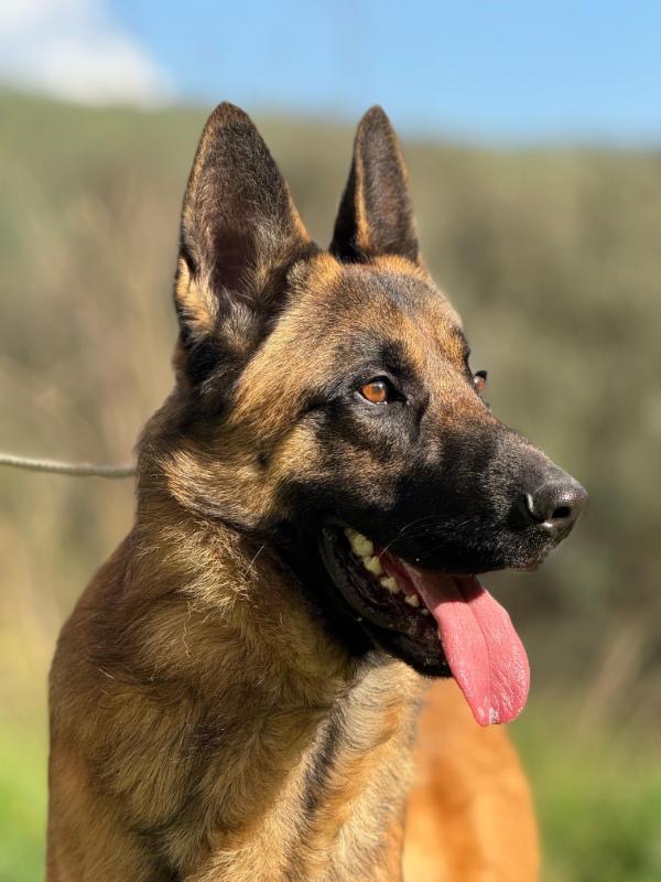 31ed6b03-116a-4f70-9ab3-ad35a376450a_Original