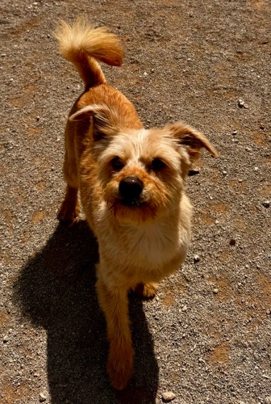 5619db00-ae4c-4122-b892-97bb82c53f73 (1)_Original