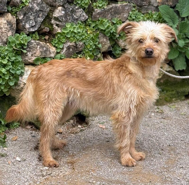 6271e76d-5691-4740-a1c1-e4455af51a90_Original