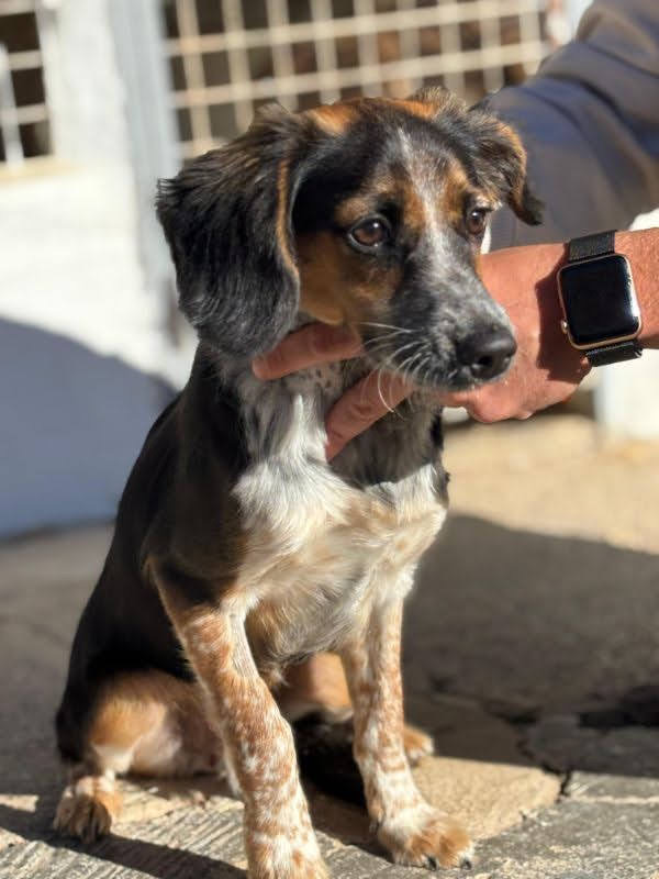 6d75faff-4dbb-4370-9be1-1b7c9e278603_Original