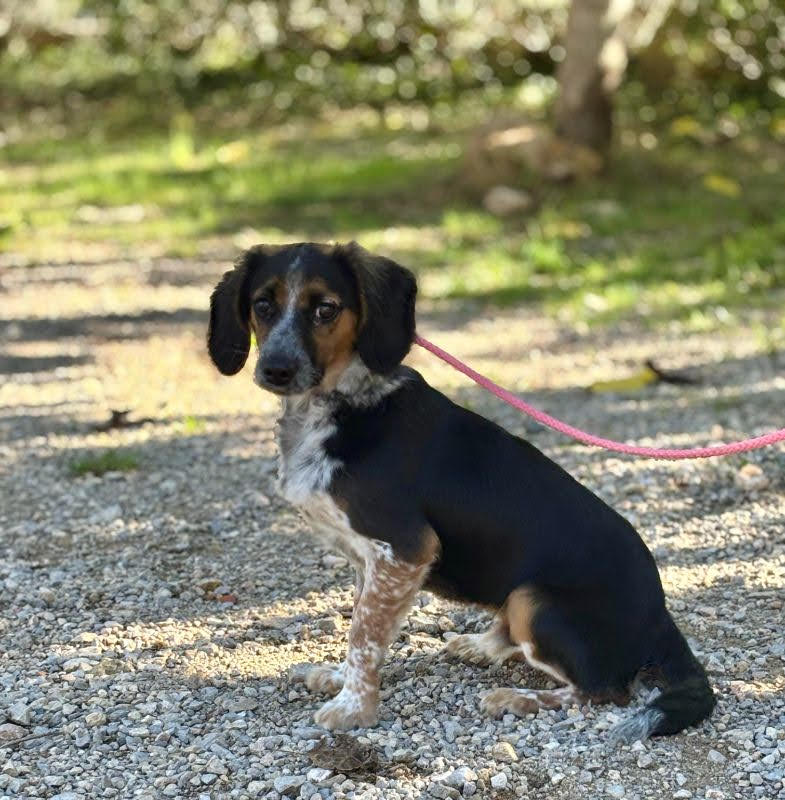 6db33bba-e92b-4cf2-b8b0-38dc8e4a4697_Original