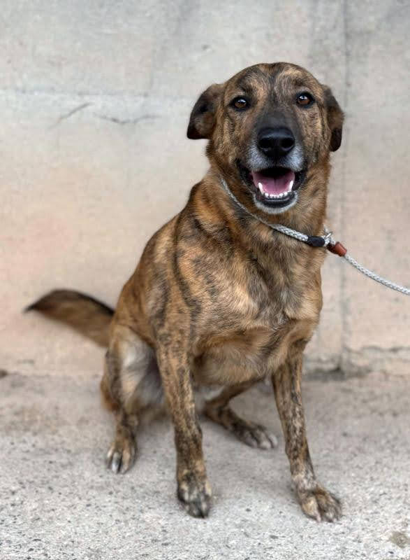 7c7876c0-cf1f-43f9-8079-0afbb3f3386f_Original