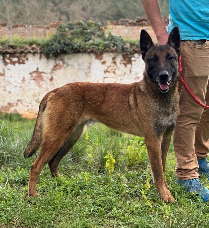 80d3c466-66ad-4126-b3e5-bbfe51593ab3_Original