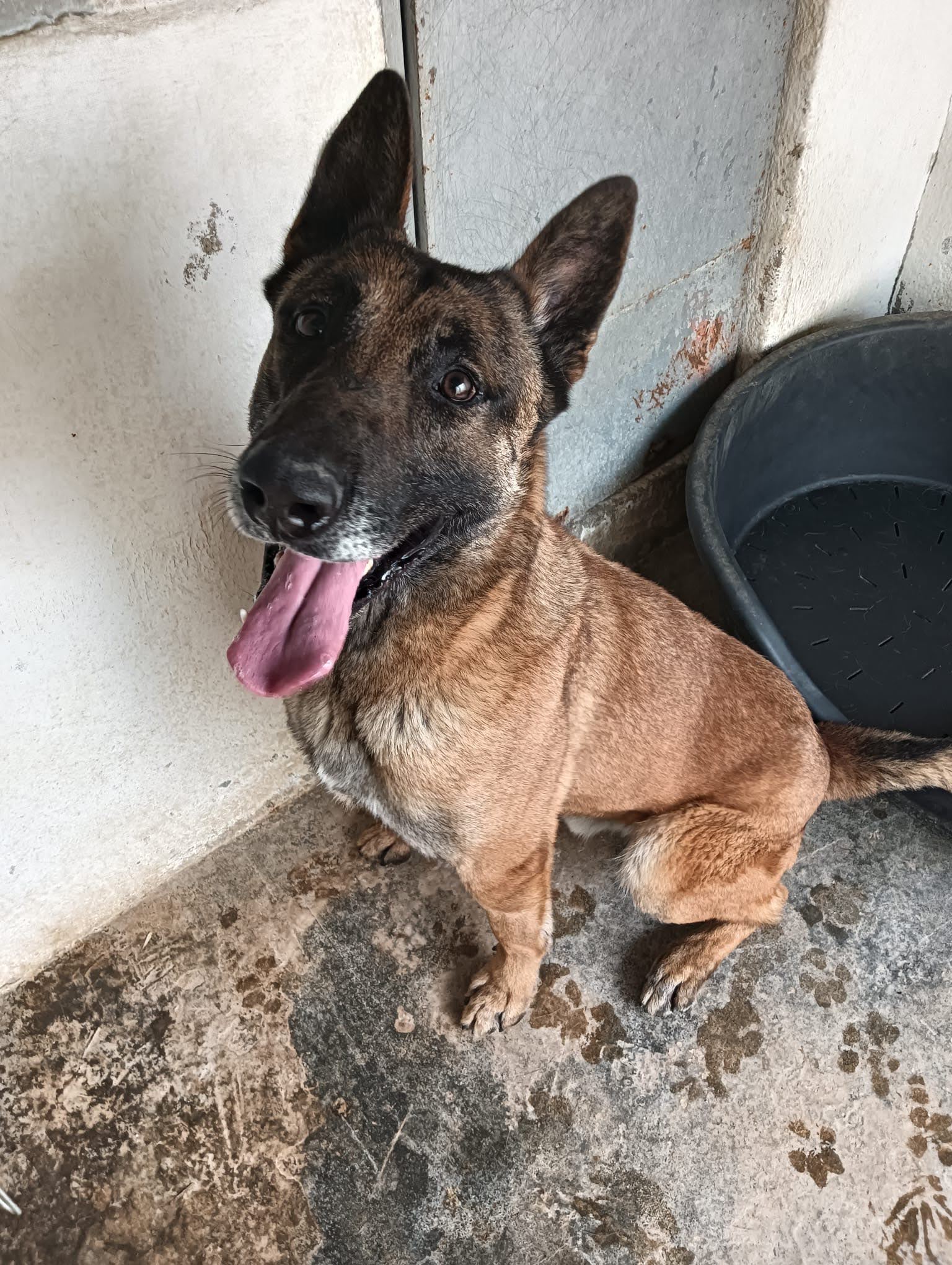 947815bc-88fc-4aab-ba3f-35cdff73a32d_Original