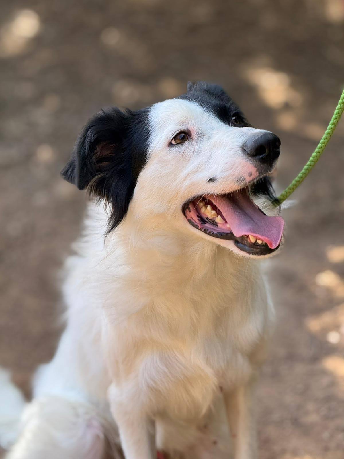 PHOTO-2026-02-02-11-12-33_Original