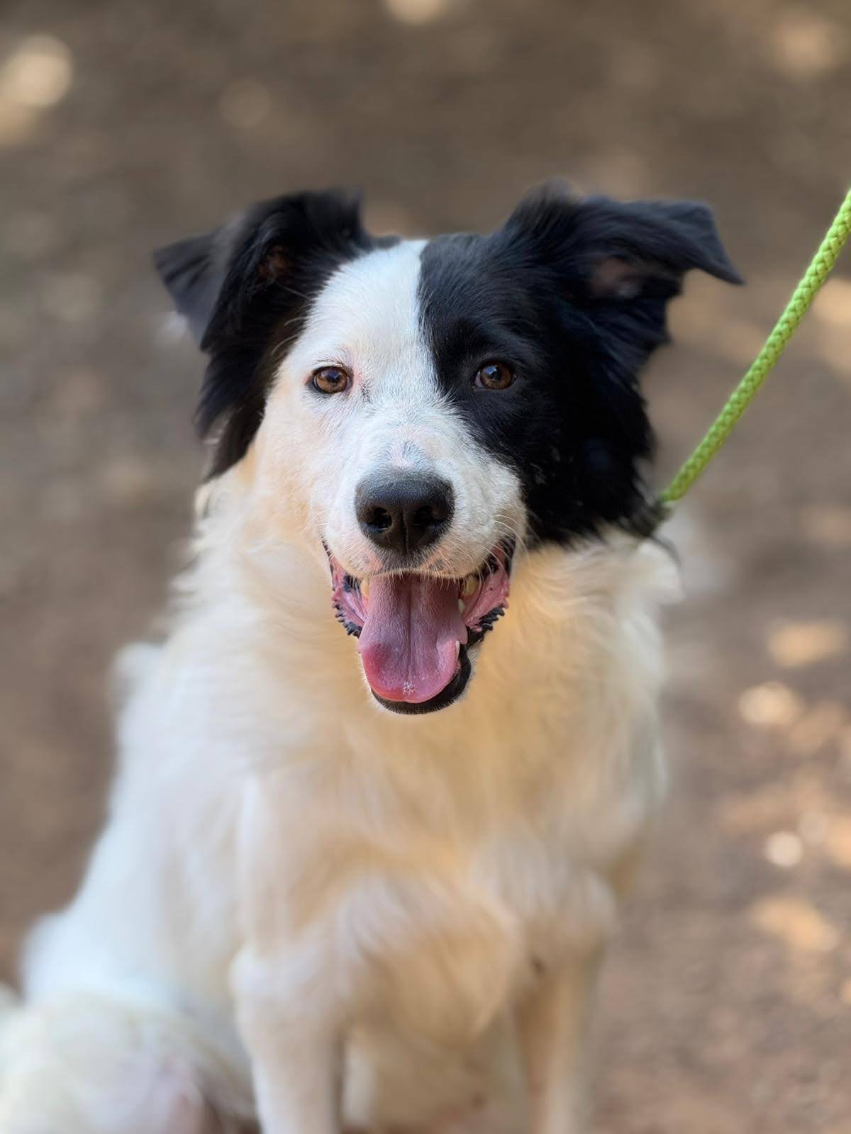 PHOTO-2026-02-02-11-12-34_2_Original