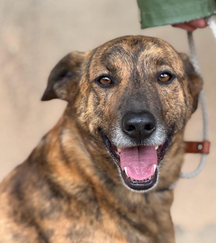 a19d27bc-ee70-4d01-910c-48226134010a_Original