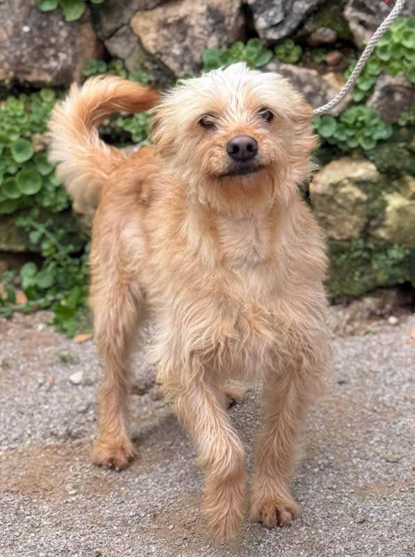 a7e00355-3bad-40c3-8977-35af9daf61d6_Original