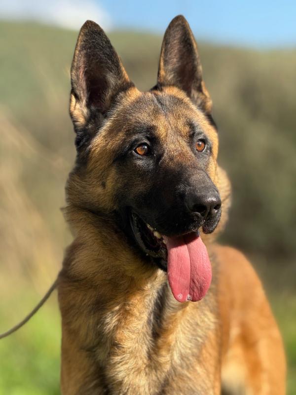 c06d27f1-2184-49a6-a216-80db770ad7b6_Original