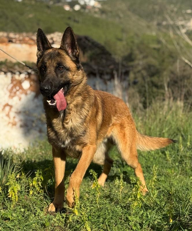 c93abc1f-bf17-4c9f-91dc-130188d30ab2_Original (1)