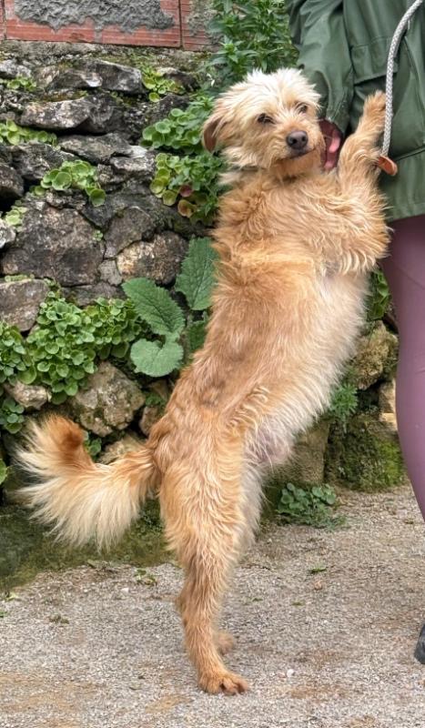 d8e778e9-001c-4dbf-8c8c-6b0289ea4376_Original