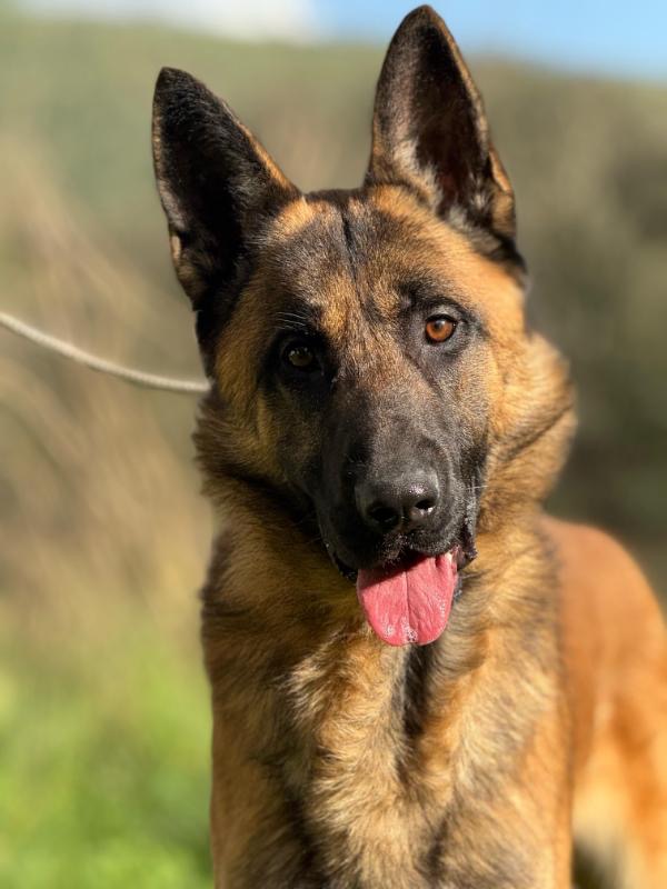 dadcc3f0-f242-4a17-886e-222162c7adba_Original