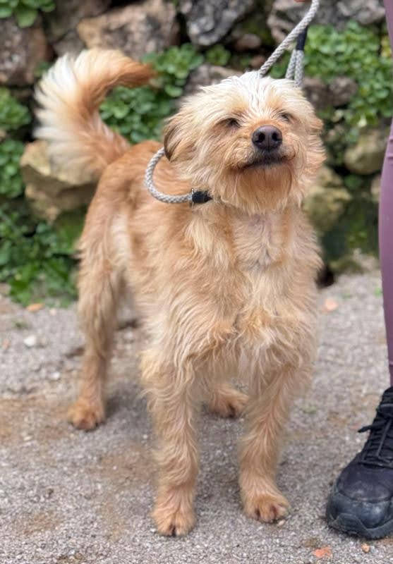 e045c4e6-d455-412d-b6c9-ecb498336a0b_Original