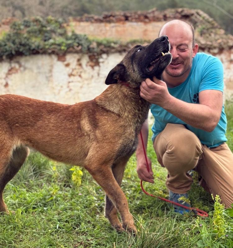 e08da7ee-e80b-4dba-bada-0521b1ccf34a_Original