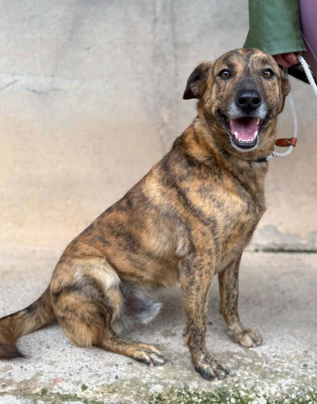 e2a33774-7975-4c8f-9aab-083de76108bc_Original