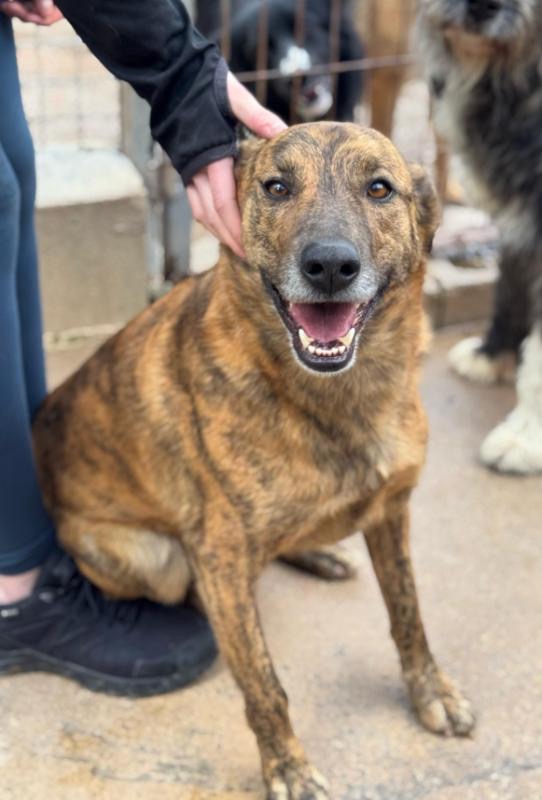 f0baecd6-5912-4be8-9a92-7510e1add28e_Original