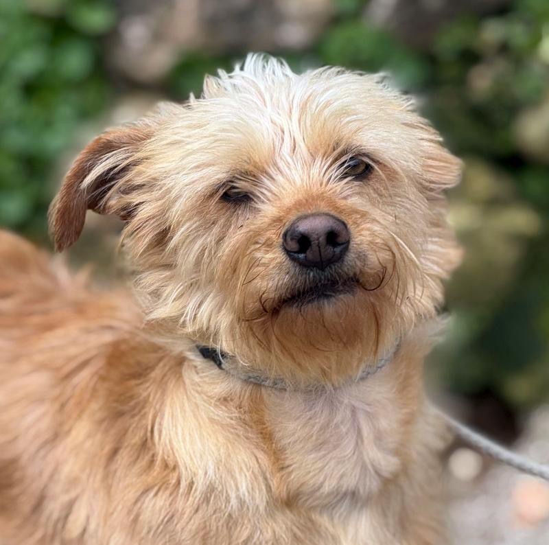 fc281dae-4570-4fb5-adc3-864fbadeb5f1_Original