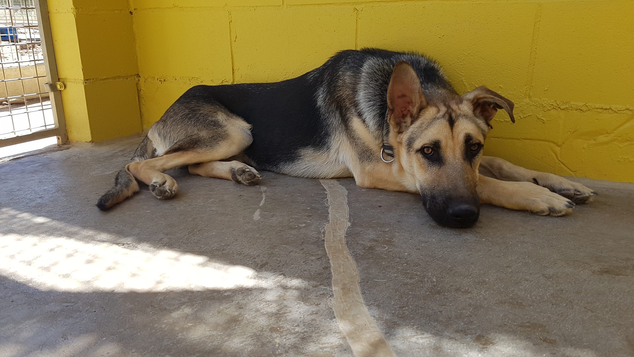 20230730_132943