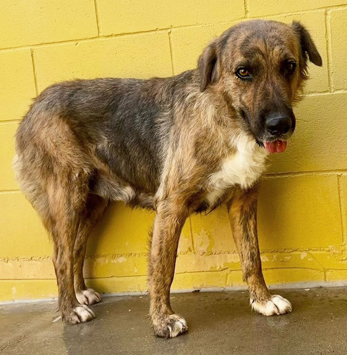 IMG_5224