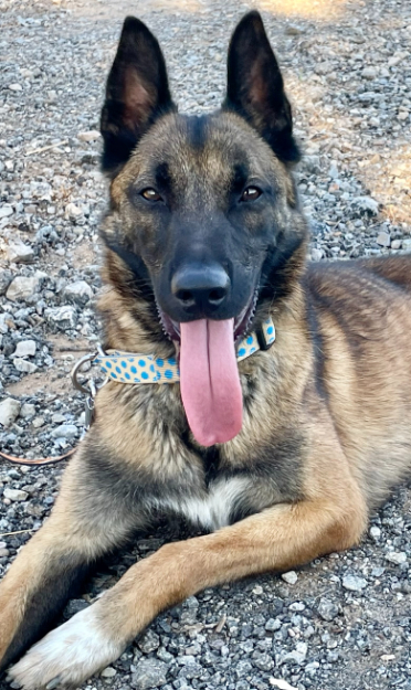 IMG_5498