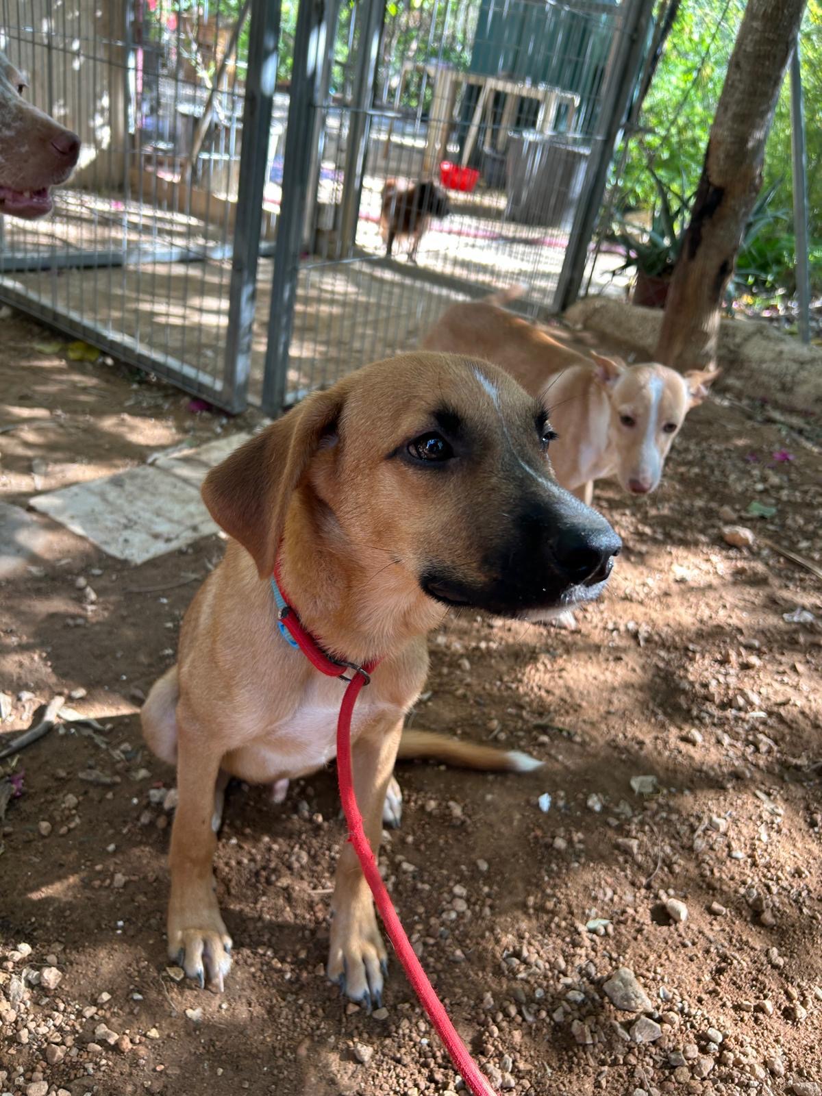 432b2d5c-c412-44ae-abfb-1a58edb5fe1c